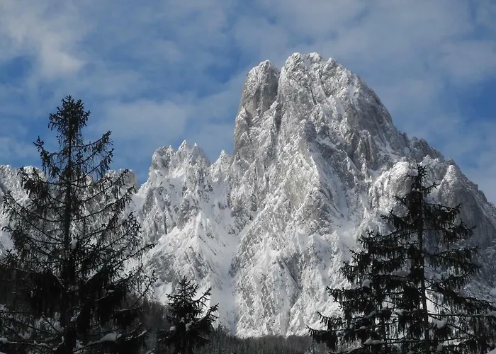 Pure Mountain Base *