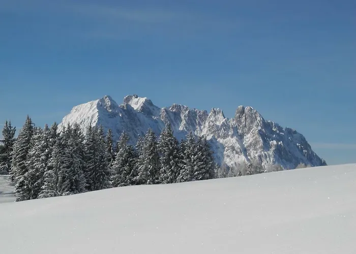 Pure Mountain Base * Erpfendorf